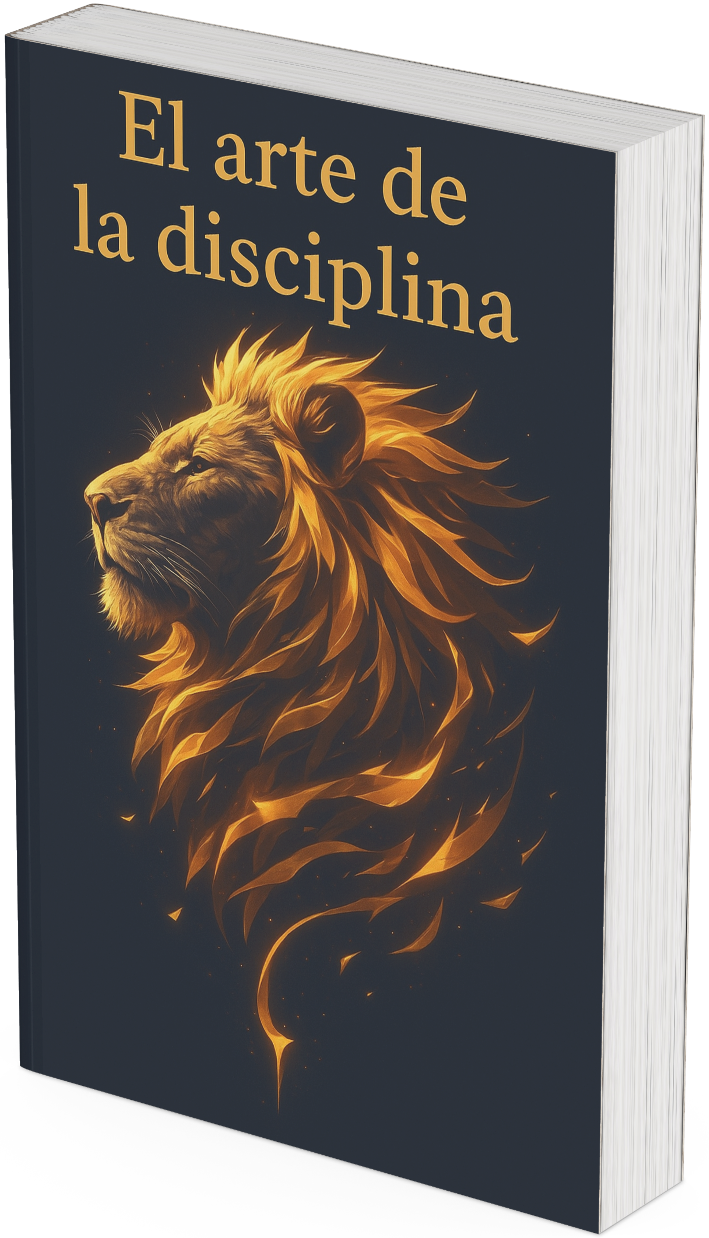 El Arte de la Diciplina